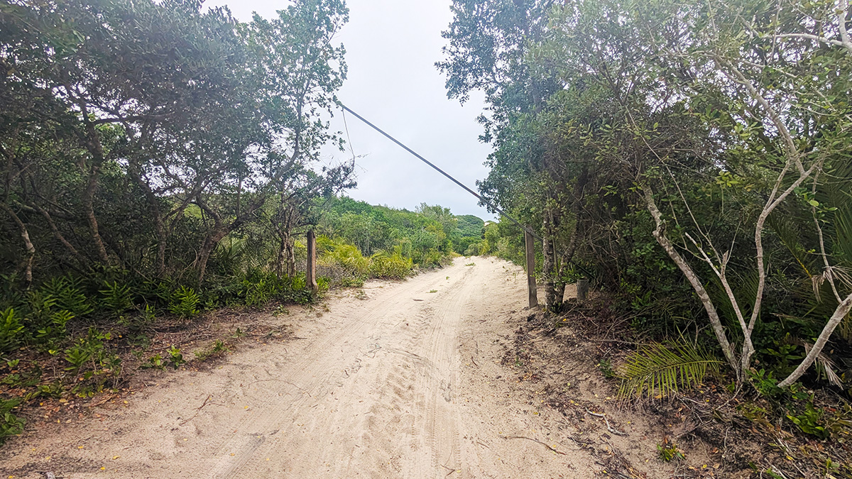 The sandy track through the dunes — the road that leads to Dune Beach Hostel.