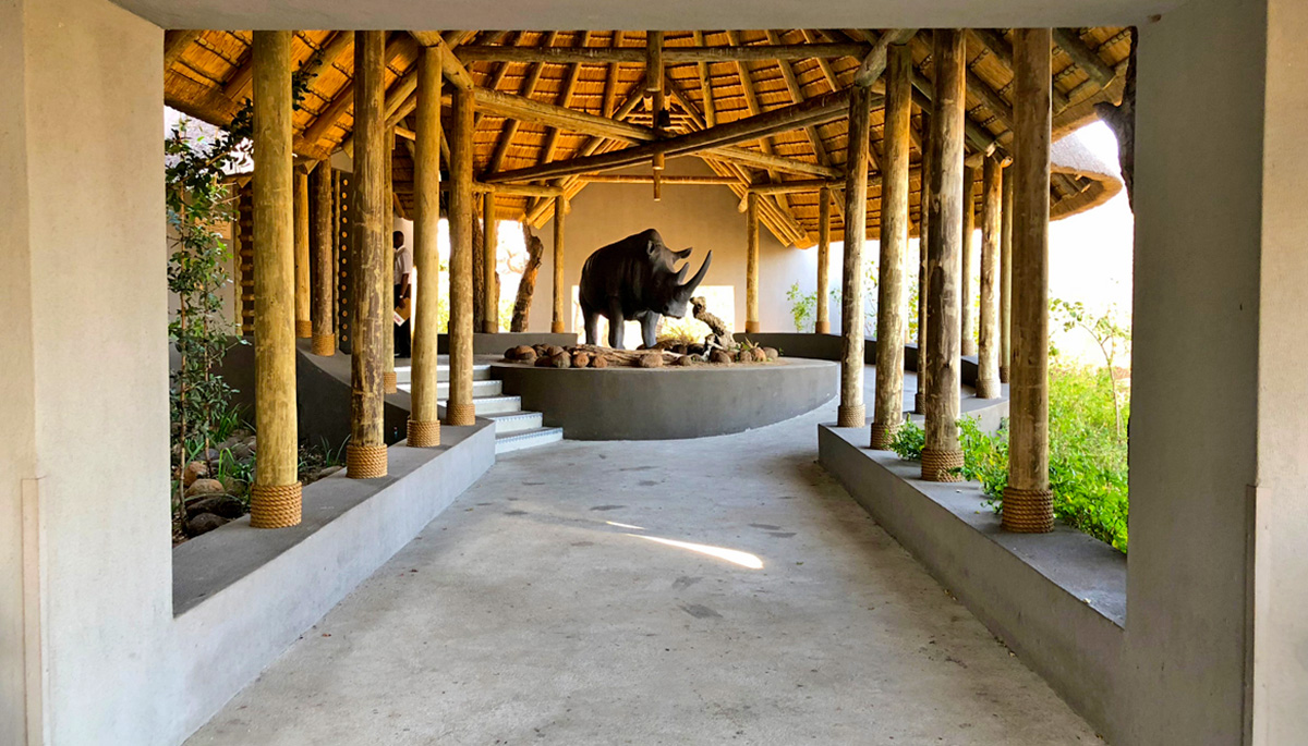 Skukuza Airport, Kruger National Park. Voted the world’s top small airport – your safari starts as you come in to land.