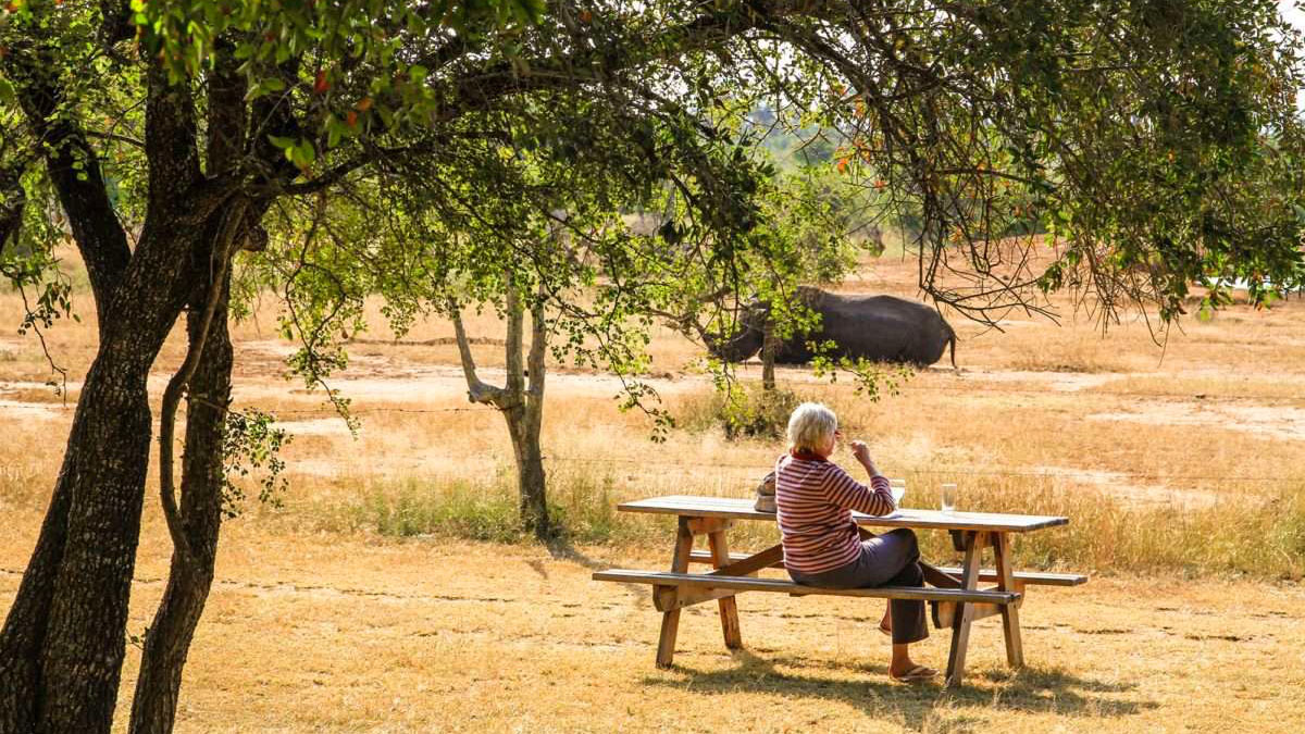 Hlane campsite unfenced wilderness