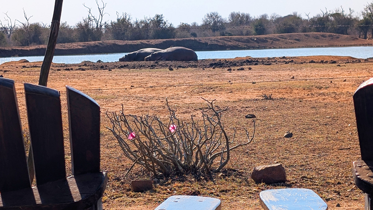 Camping under the stars in Hlane